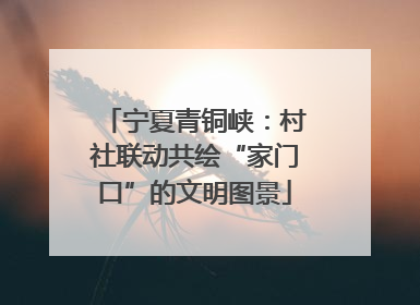 宁夏青铜峡：村社联动共绘“家门口”的文明图景