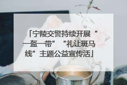 宁陵交警持续开展“一盔一带”“礼让斑马线”主题公益宣传活