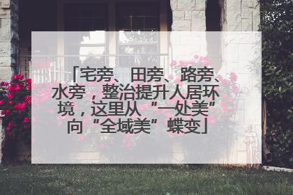 宅旁、田旁、路旁、水旁，整治提升人居环境，这里从“一处美”向“全域美”蝶变