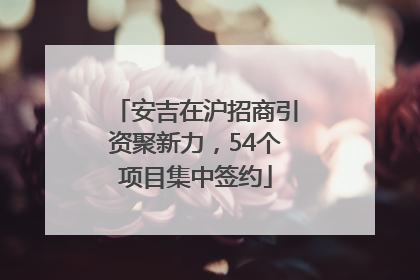 安吉在沪招商引资聚新力，54个项目集中签约