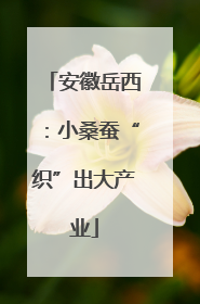 安徽岳西：小桑蚕“织”出大产业