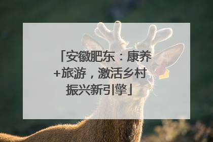 安徽肥东：康养+旅游，激活乡村振兴新引擎