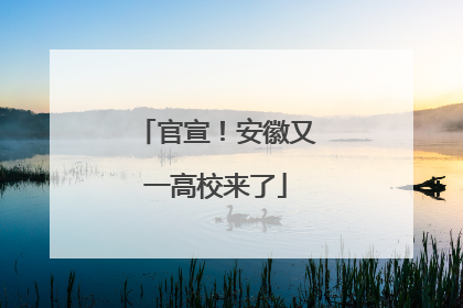 官宣！安徽又一高校来了