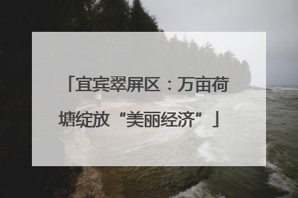 宜宾翠屏区：万亩荷塘绽放“美丽经济”