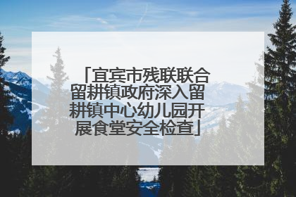 宜宾市残联联合留耕镇政府深入留耕镇中心幼儿园开展食堂安全检查