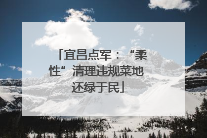 宜昌点军：“柔性”清理违规菜地 还绿于民
