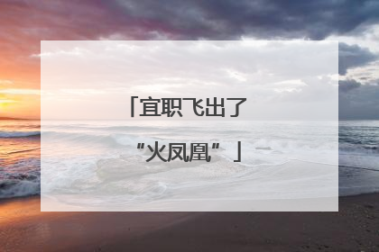 宜职飞出了“火凤凰”