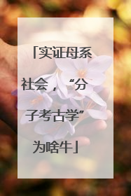 实证母系社会，“分子考古学”为啥牛