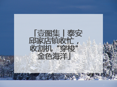 壹图集丨泰安邱家店镇收忙，收割机“穿梭”金色海洋
