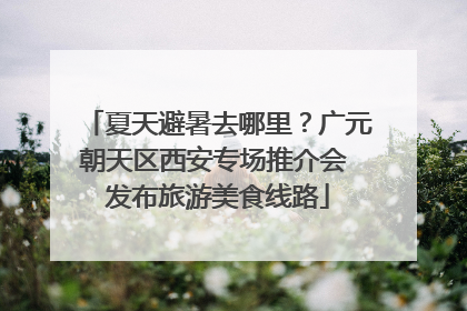 夏天避暑去哪里？广元朝天区西安专场推介会 发布旅游美食线路