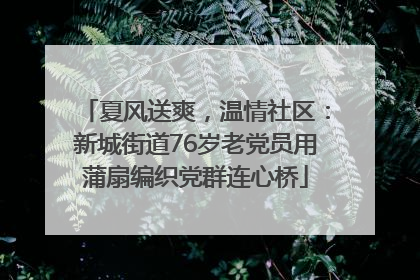 夏风送爽，温情社区：新城街道76岁老党员用蒲扇编织党群连心桥