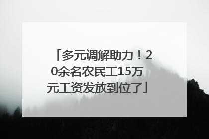 多元调解助力！20余名农民工15万元工资发放到位了