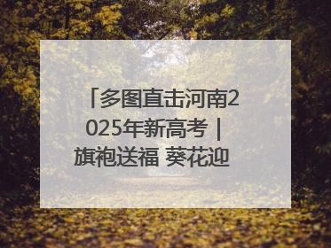 多图直击河南2025年新高考｜旗袍送福 葵花迎胜——许昌高考首日拉开帷幕