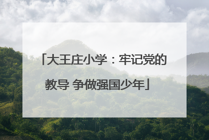 大王庄小学：牢记党的教导 争做强国少年
