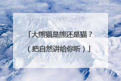 大熊猫是熊还是猫？（把自然讲给你听）