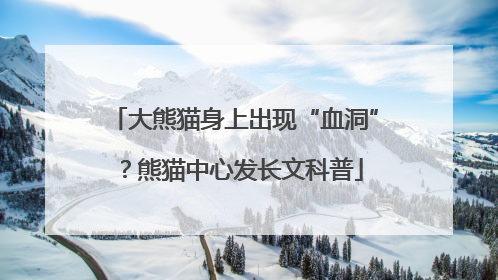 大熊猫身上出现“血洞”？熊猫中心发长文科普