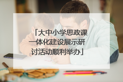 大中小学思政课一体化建设展示研讨活动顺利举办
