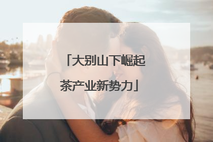 大别山下崛起茶产业新势力