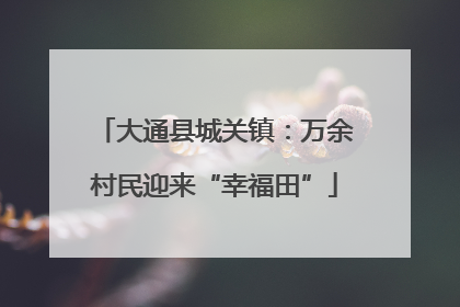 大通县城关镇：万余村民迎来“幸福田”