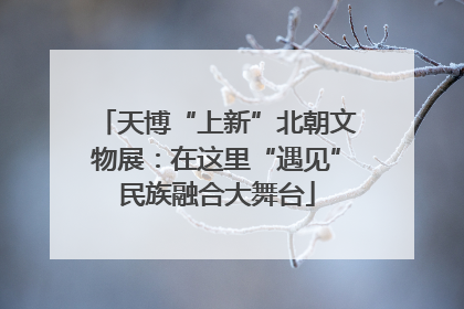 天博“上新”北朝文物展：在这里“遇见”民族融合大舞台