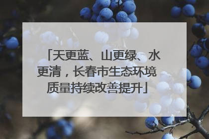 天更蓝、山更绿、水更清，长春市生态环境质量持续改善提升