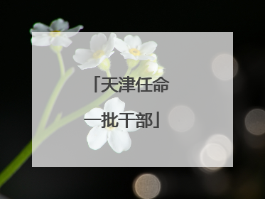 天津任命一批干部