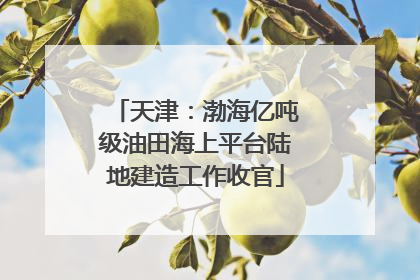 天津：渤海亿吨级油田海上平台陆地建造工作收官
