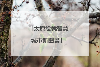 太原绘就智慧城市新图景