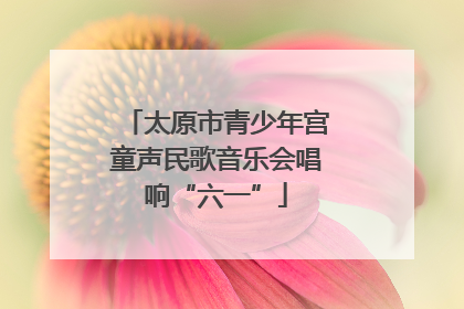 太原市青少年宫童声民歌音乐会唱响“六一”