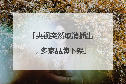 央视突然取消播出，多家品牌下架