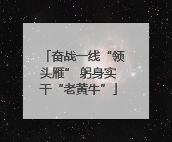 奋战一线“领头雁” 躬身实干“老黄牛”