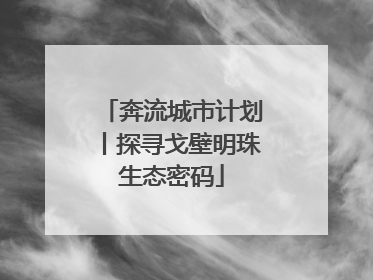 奔流城市计划丨探寻戈壁明珠生态密码