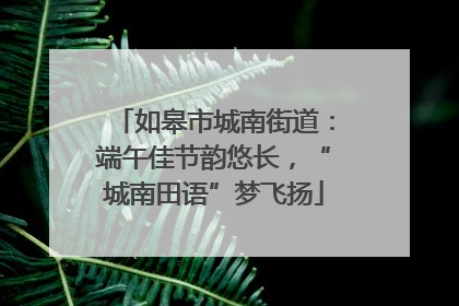 如皋市城南街道：端午佳节韵悠长，“城南田语”梦飞扬