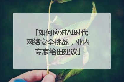 如何应对AI时代网络安全挑战，业内专家给出建议