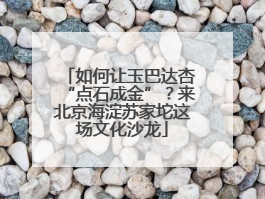 如何让玉巴达杏“点石成金”？来北京海淀苏家坨这场文化沙龙