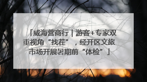 威海营商行｜游客+专家双重视角“找茬”，经开区文旅市场开展暑期前“体检”