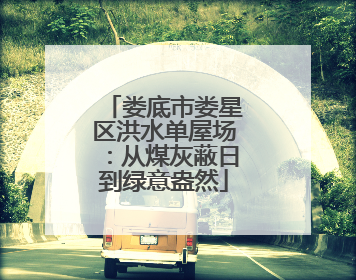 娄底市娄星区洪水单屋场：从煤灰蔽日到绿意盎然