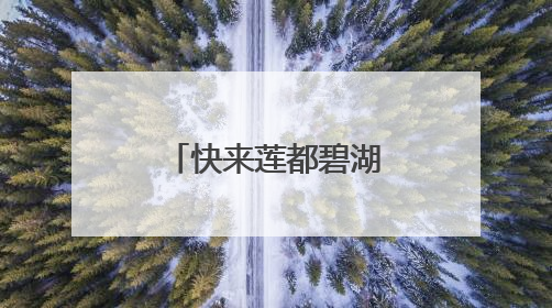 快来莲都碧湖赏荷 轻松解锁夏日浪漫