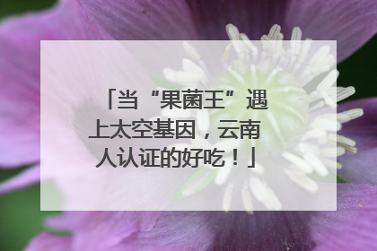 当“果菌王”遇上太空基因，云南人认证的好吃！