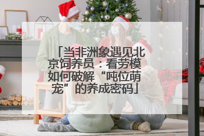 当非洲象遇见北京饲养员：看劳模如何破解“吨位萌宠”的养成密码