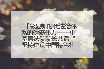 彰显新时代法治体系的磅礴伟力——中基层法院院长共话“坚持建设中国特色社会主义法治体系”