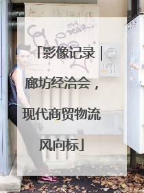 影像记录｜廊坊经洽会，现代商贸物流风向标