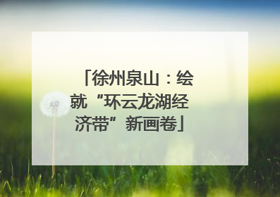 徐州泉山：绘就“环云龙湖经济带”新画卷
