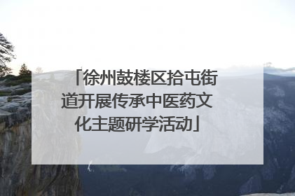 徐州鼓楼区拾屯街道开展传承中医药文化主题研学活动