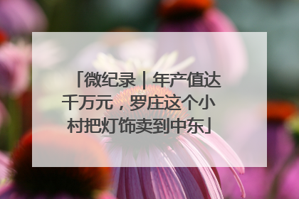 微纪录｜年产值达千万元，罗庄这个小村把灯饰卖到中东