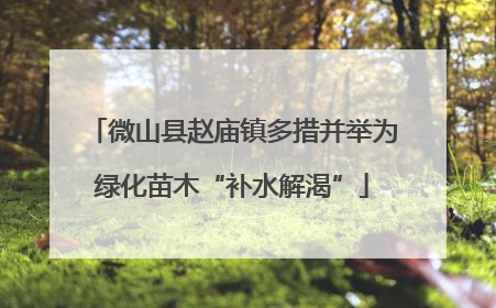 微山县赵庙镇多措并举为绿化苗木“补水解渴”