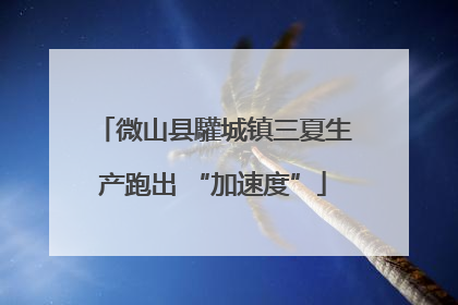 微山县驩城镇三夏生产跑出 “加速度”