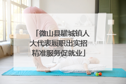 微山县驩城镇人大代表履职出实招精准服务促就业