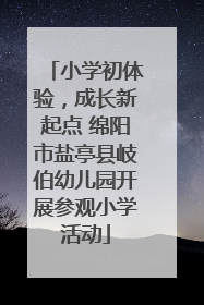 小学初体验，成长新起点 绵阳市盐亭县岐伯幼儿园开展参观小学活动