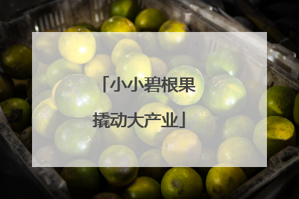 小小碧根果撬动大产业